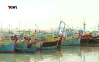 Thiếu khu neo đậu tàu cá, ngư dân Phan Rí Cửa gặp khó