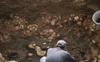 Phát hiện ngôi mộ hơn 1.000 năm tuổi chứa hài cốt và đồ vàng tại Panama