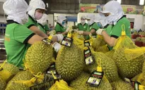 Xuất khẩu nông sản và kỳ vọng lớn trong năm 2026