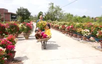 Nhạc sĩ Nguyễn Hải Phong và hai con mở màn “Cha con vạn dặm” bằng mùa xuân rực rỡ ở Phú Sơn