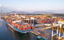 Ban hành Chương trình hành động thực hiện Nghị quyết số 79-NQ/TW về phát triển kinh tế nhà nước