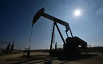 OPEC+ tính bơm thêm 137.000 thùng dầu/ngày ra thị trường