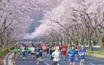 Hàn Quốc đặt mục tiêu đón 30 triệu lượt du khách