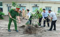 TP Hồ Chí Minh: Trồng hàng trăm cây gỗ quý Cẩm lai đầu xuân
