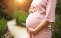 Nghỉ việc trước khi sinh con, trường hợp nào vẫn được chế độ thai sản?