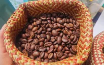 Giá cà phê bật tăng trở lại