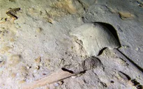 Phát hiện hài cốt 8.000 năm tuổi trong hang ngập nước ở Mexico