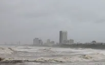 Đề nghị 22 tỉnh, thành ứng phó không khí lạnh, gió mạnh trên biển