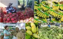 Xuất khẩu rau quả Việt Nam bứt tốc từ đầu năm
