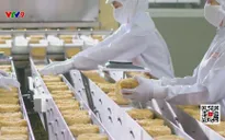 Doanh nghiệp xuất khẩu lo rủi ro từ tình hình Trung Đông