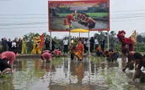Phú Thọ: Đặc sắc Lễ hội Vua Hùng dạy dân cấy lúa