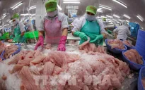 Xuất khẩu nông lâm thủy sản tăng mạnh