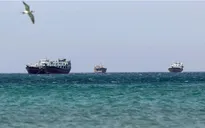 Hơn 10% đội tàu container toàn cầu bị kẹt ở eo biển Hormuz
