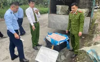 Thu giữ 600kg nầm lợn đông lạnh không rõ nguồn gốc
