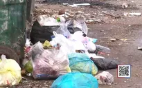 Rác thải bủa vây trường học ở Khánh Hòa