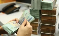 Cục Thuế hỗ trợ tối đa hộ kinh doanh bằng nhiều giải pháp