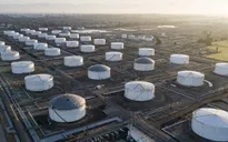 G7 chưa mở kho dự trữ dầu chiến lược