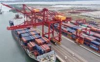 Việt Nam vào nhóm kinh tế có triển vọng tăng trưởng thương mại nổi bật