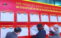 Người cao tuổi tích cực tham gia công tác bầu cử