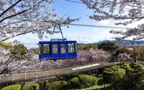 Niềm vui của việc di chuyển trải rộng trên chuyến du lịch tại tỉnh Ehime