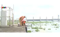 Kiểm soát mặn, giữ ngọt hiệu quả nhờ các công trình thủy lợi trọng điểm