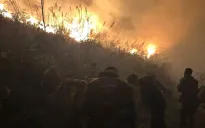 Cháy rừng ở Tuần Châu (Quảng Ninh)