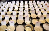 Giá gạo tại châu Á giảm do nhu cầu suy yếu