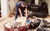 Ngăn chặn hơn 1,8 tấn thực phẩm đông lạnh nhập lậu tại các cửa khẩu phía Bắc