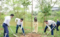 7 năm trồng cây xanh: Toyota cam kết vì một Việt Nam kiên cường và thịnh vượng