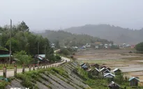 Tiếp tục ghi nhận động đất độ lớn 3.8 tại xã Măng Bút, tỉnh Quảng Ngãi