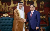 Thủ tướng Phạm Minh Chính đề nghị hiện thực hóa kết quả điện đàm giữa Thủ tướng với Tổng thống UAE