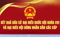 [Infographic] Kết quả bầu cử đại biểu Quốc hội khóa XVI và đại biểu HĐND các cấp