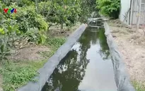 Trữ nước ứng phó hạn mặn: Giải pháp chủ động của nhà vườn
