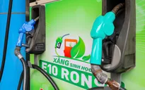 Chủ động nguồn nguyên liệu, sẵn sàng cho lộ trình sử dụng xăng sinh học