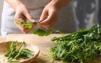 "Lộc xanh" trao sức khỏe