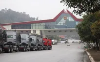 Xây dựng nghị quyết tạm ngưng Nghị định 46 và Nghị quyết 66.13