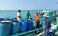 Cà Mau: Hơn 40.000 lít nước ngọt đến với người dân đảo Hòn Chuối