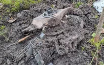 UAV Ukraine lạc hướng bay vào không phận Estonia, Latvia 