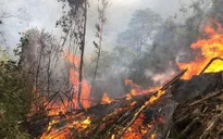 Cháy rừng tại Quảng Trị, thiệt hại 3.500m²
