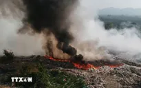 Nỗ lực khống chế đám cháy rừng và cháy bãi rác ở Lâm Đồng