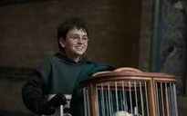 Phim truyền hình Harry Potter chạy đua với thời gian