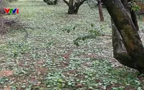 4 người chết, 9 người bị thương do mưa đá, dông lốc, sét ở Hà Nội và các tỉnh miền Bắc