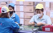 Nhiều lao động trẻ không muốn làm việc trong nhà máy