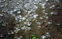 Vì sao Hà Nội và nhiều tỉnh phía Bắc liên tiếp xảy ra mưa đá?