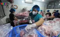 Kiểm tra đột xuất doanh nghiệp liên quan đường dây thịt lợn bẩn: Thêm dấu hiệu nghi vấn