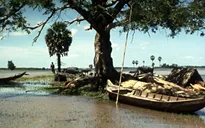 Chiếu 17 tác phẩm kinh điển nhìn lại “Diện mạo điện ảnh Việt Nam 40 năm Đổi mới” tại DANAFF IV