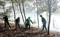 Kịp thời khống chế đám cháy rừng phòng hộ tại ven biển Quảng Trị
