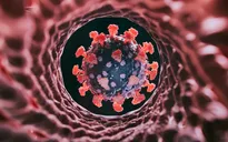 Biến thể COVID-19 Cicada lây lan tại hàng chục bang của Mỹ