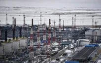 Nga gia hạn lệnh cấm xuất khẩu xăng đến hết tháng 7