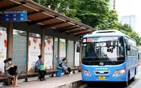 TP Hồ Chí Minh chủ trương miễn phí xe buýt cho người dân
